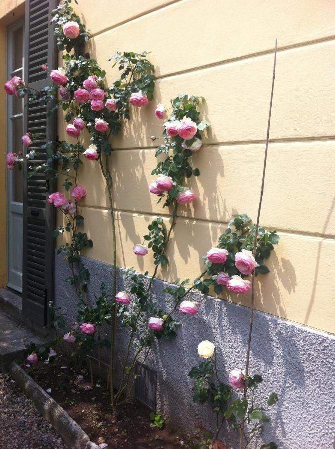 Villa Corti Lakeview Como Kültér fotó